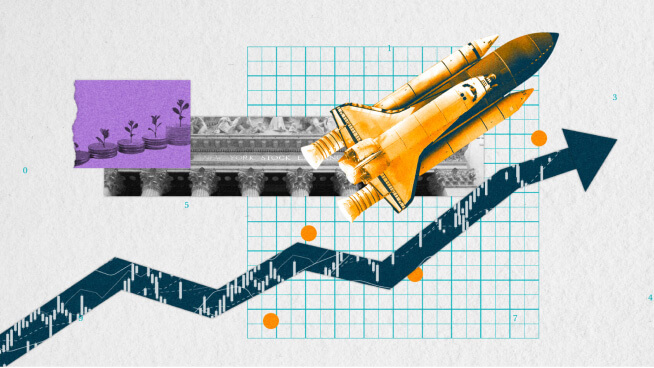 Growth & Investment Strategy